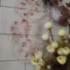 Red flower Coasters - Image 3